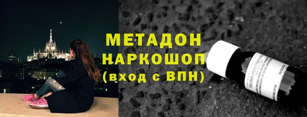 шишки Покачи