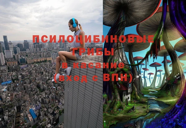 сатива Алексин